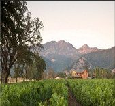 酒庄介绍：卡特酒窖 Carter Cellars