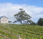 酒庄简介：布鲁尼岛酒庄 Bruny Island Premium Wines