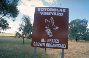 酒庄简介：波图波拉酒庄 Botobolar Vineyard