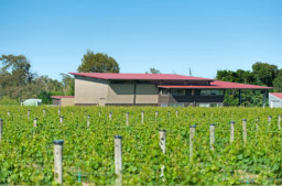 酒庄消息：格拉斯顿酒庄 Gladstone Vineyard