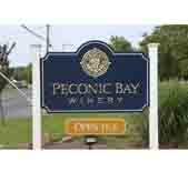 酒庄简介：佩科尼克湾酒庄 Peconic Bay Winery