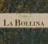 酒庄资料：柏丽娜酒庄 La Bollina