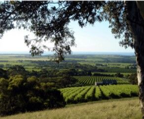 酒庄信息：威伦加溪酒庄 Willunga Creek Wines