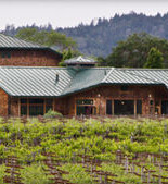 酒庄消息：德罗米酒庄 Delorimier Vineyards