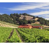 酒庄资料：霍尔特牧场酒庄 Halter Ranch Vineyard