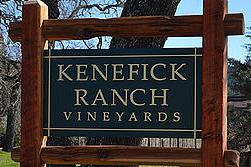 酒庄消息：肯尼菲克酒庄 Kenefick Ranch