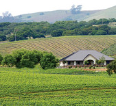 酒庄简介：富利酒庄 Foley Estates Vineyard & Wine