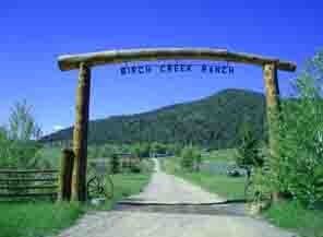 酒庄消息：桦木溪酒庄 Birch Creek Cellars