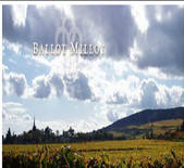 酒庄资料：巴洛米约酒庄 Domaine Ballot Millot