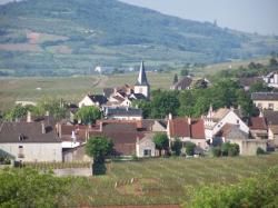 酒庄信息：宝德-博讷富瓦酒庄 Domaine Bouard-Bonnefoy