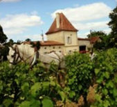 酒庄简介：老莫涅酒庄 Chateau Vieux Mougnac