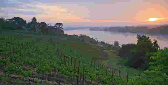 江河湖海对葡萄酒的影响