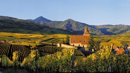 一文了解法国12大葡萄酒产区