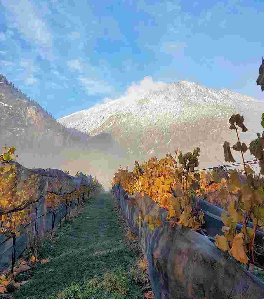 盘点全球10个最寒冷的葡萄酒产区