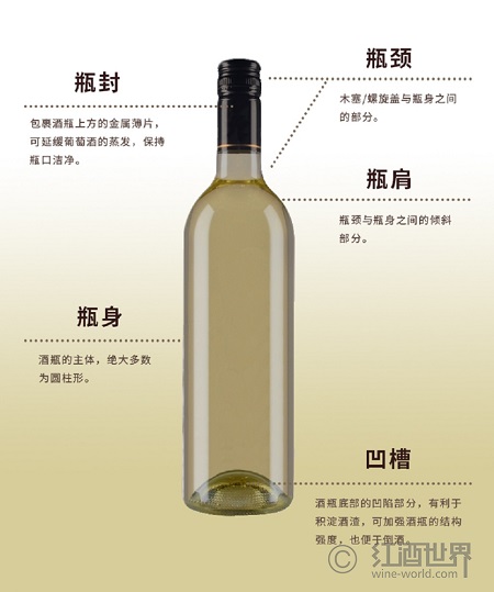 关于葡萄酒瓶，你应该知道这些