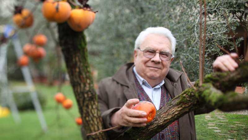 50年热忱，“意大利葡萄酒之父”贾科莫·塔吉斯