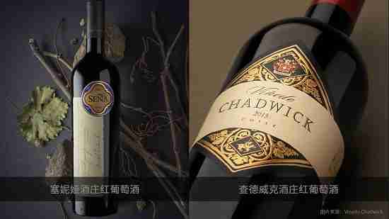 智利名庄掌权者查德威克进军中国葡萄酒市场