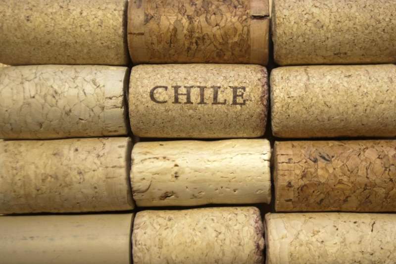 智利葡萄酒的守护者——“十八罗汉”