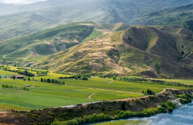 新西兰葡萄酒旅游业蓬勃发展