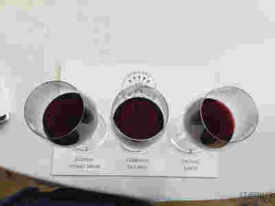 红酒世界2015年份期酒名庄探访之旅——拉菲古堡
