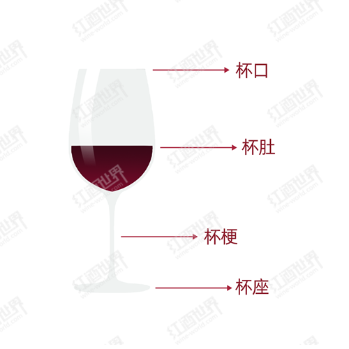 喝葡萄酒，你选对酒杯了吗？