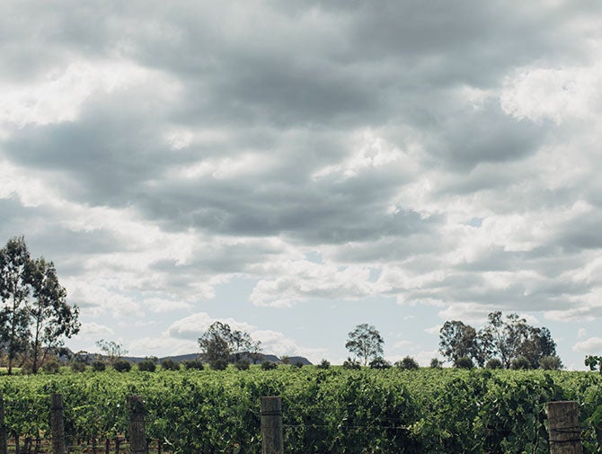 猎人谷——澳洲最古老的葡萄酒产区