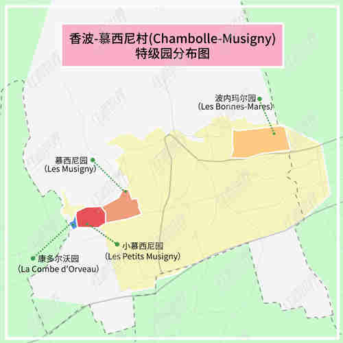 黑皮诺圣地——香波-慕西尼村的优质葡萄园