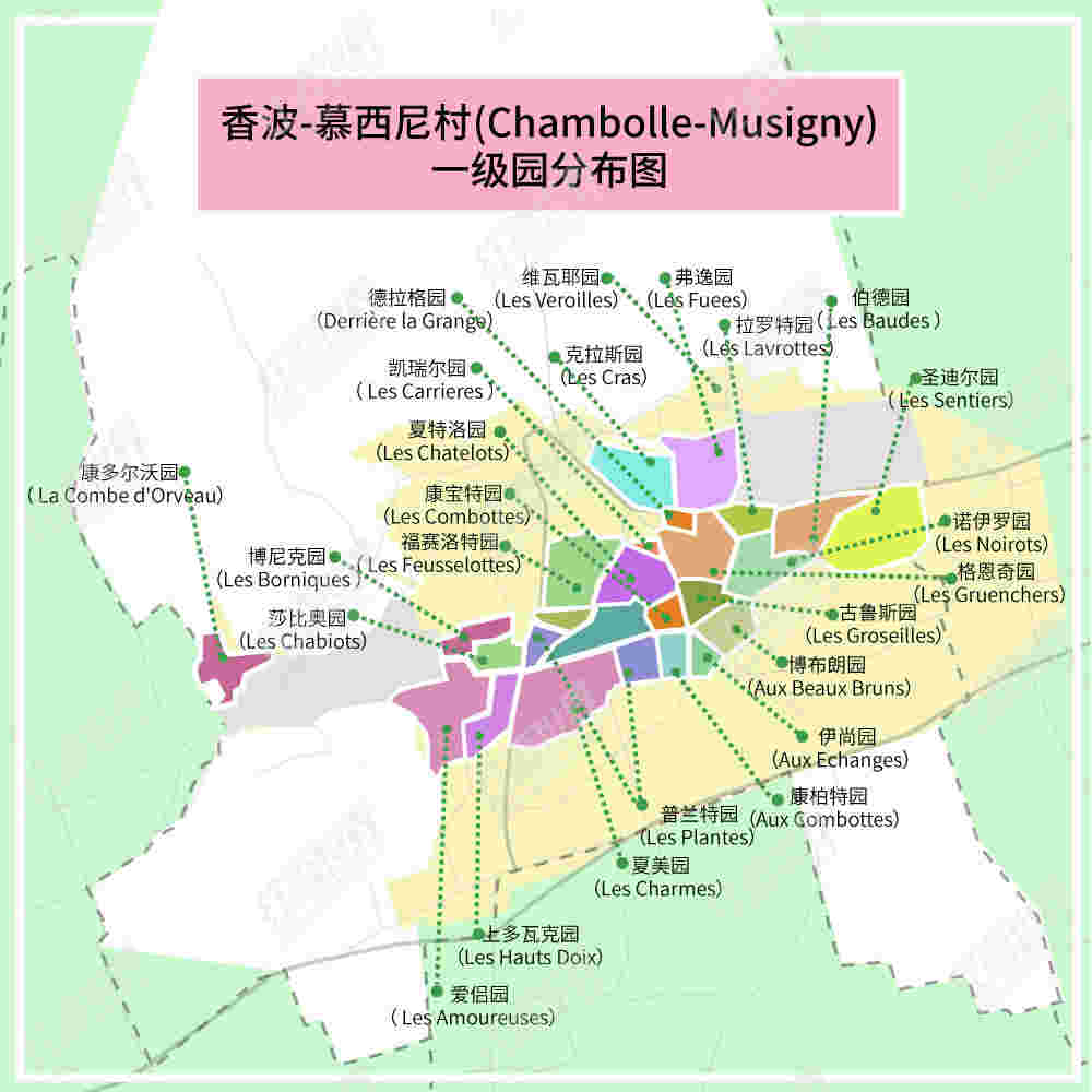 黑皮诺圣地——香波-慕西尼村的优质葡萄园