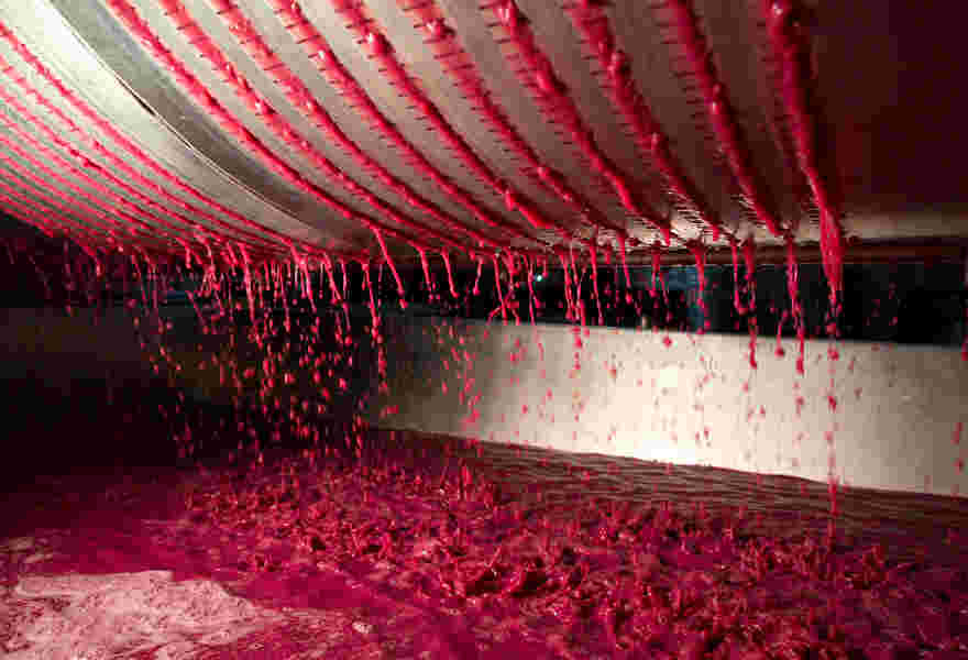 图解红葡萄酒的酿造过程