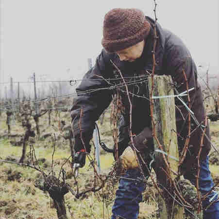 寒冬的葡萄园，酒农也在辛勤劳作……