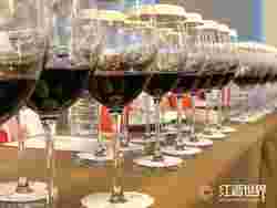 红酒世界对话西班牙葡萄酒大师佩德罗·巴耶斯特罗