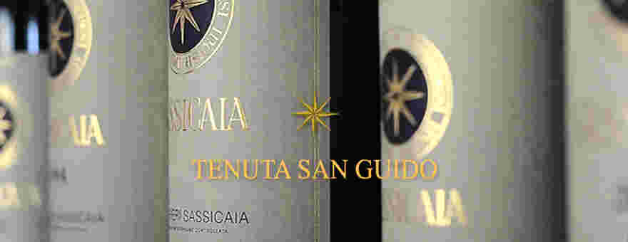 传统VS现代，什么是意大利葡萄酒的新旧派？