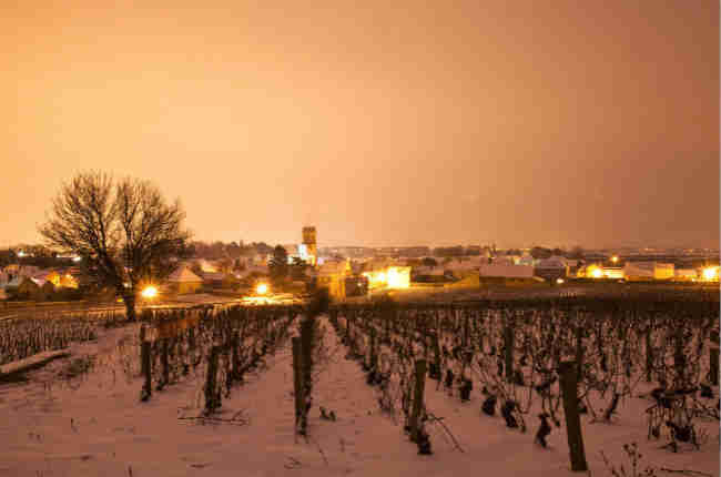勃艮第将斥资1.25亿建葡萄酒城