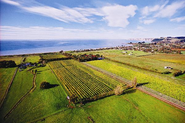 霍克斯湾——新西兰第二大葡萄酒产区
