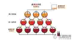 轻松学葡萄酒之雪莉酒大揭秘