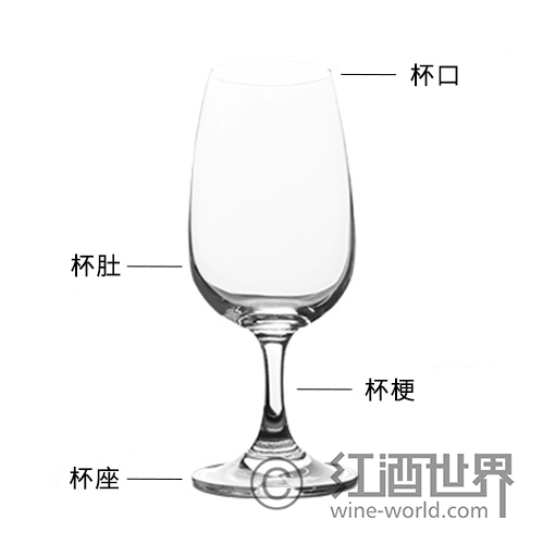 你认识葡萄酒杯的结构吗？