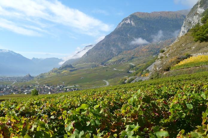 关于瑞士葡萄酒的17个事实