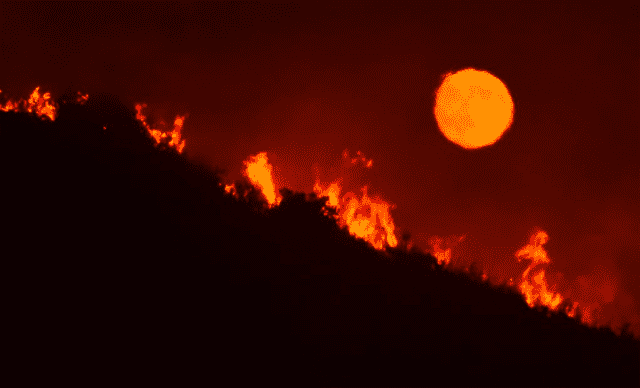 大火肆虐加州附近葡萄园