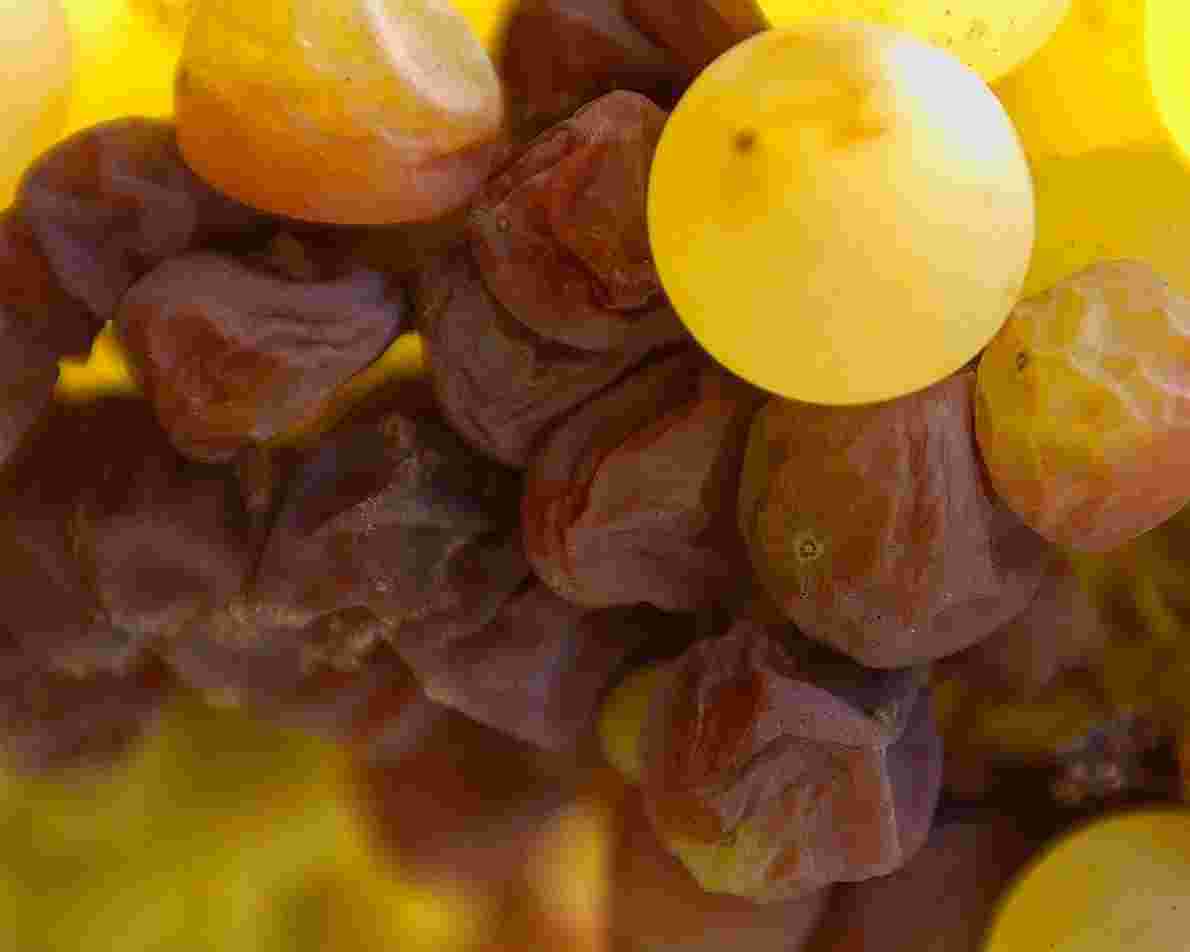 不同霉菌如何影响葡萄酒的风味？