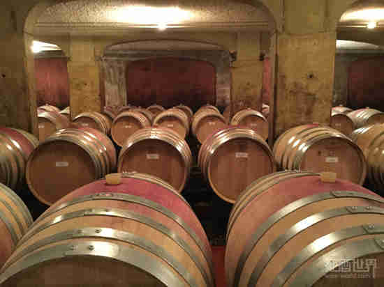 红酒世界勃艮第名庄探访之旅——米歇尔·马拉德酒庄