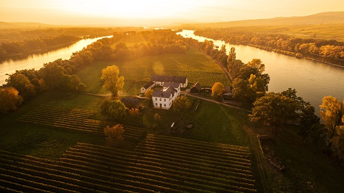 莱茵河畔，贵腐葡萄酒的“天堂”