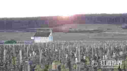 勃艮第“王者”——热夫雷-香贝丹的优质葡萄园