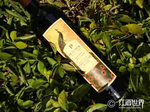 孔雀酒庄：栖息于纳帕泉山区的精品名庄