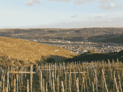 在罗讷河谷学葡萄酒是怎样的体验