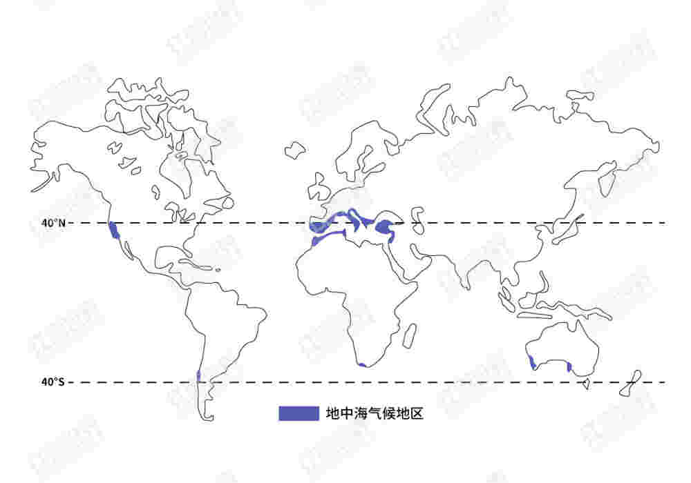 地中海气候只有地中海才有吗？