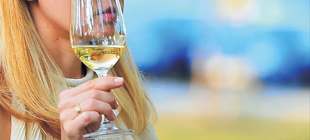 2018骑士白：杰布·丹那克盛赞的2018最出色白葡萄酒之一