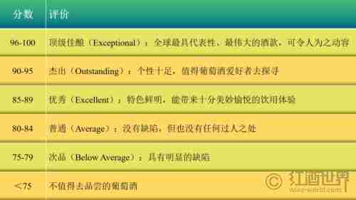 Vinous创始人——安东尼·盖洛尼