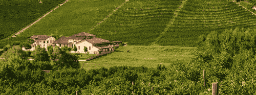 要懂意大利葡萄酒，先要了解这个产区