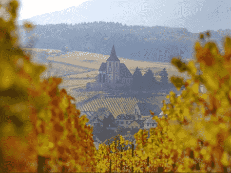 金秋十月，来一场说走就走的法国葡萄酒产区之旅