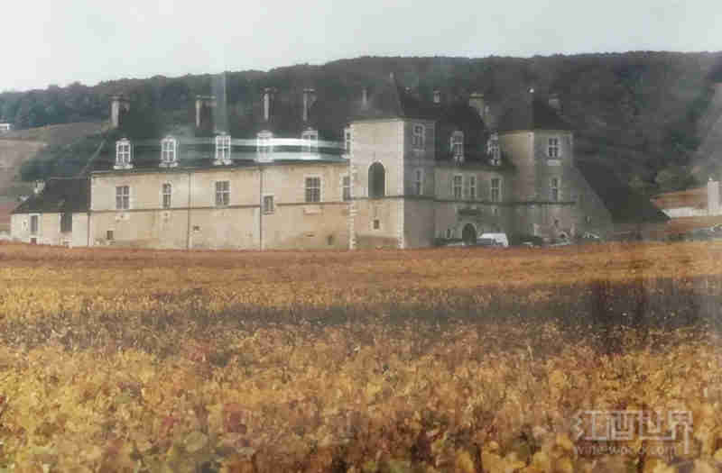红酒世界探访菲隆酒庄——离康帝最近的勃艮第名庄